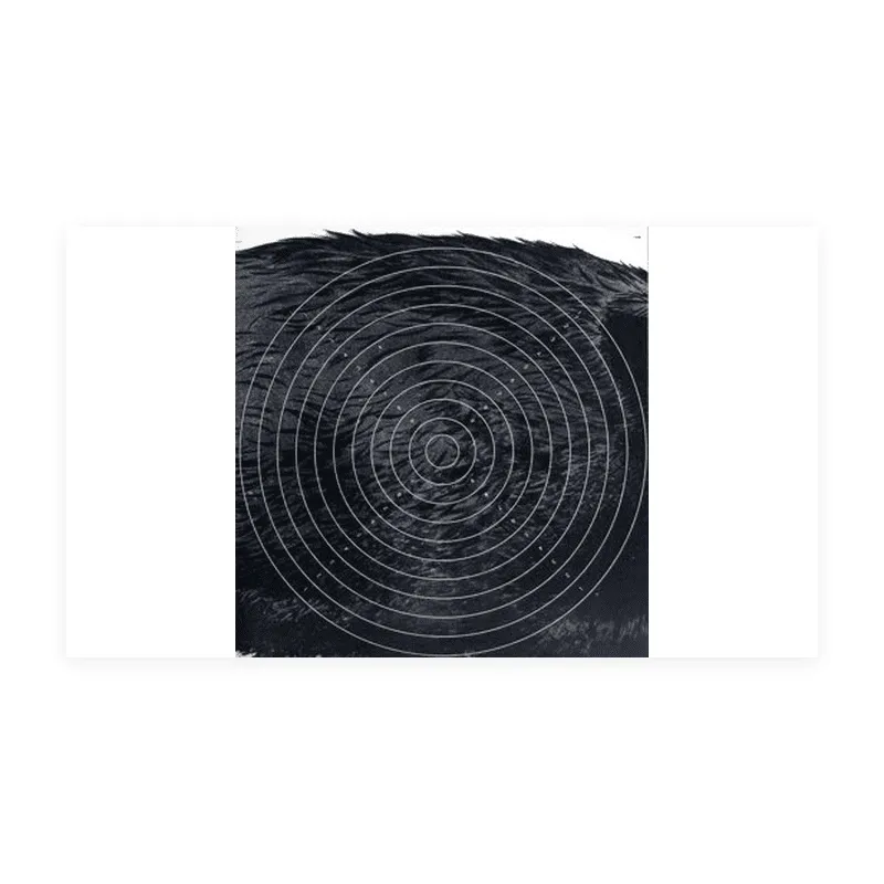 Centre cible sanglier courant format 37.5x39 tête à droite carton